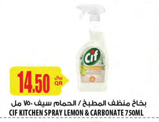 General Cleaner available at Al Meera in Qatar - Al-Shahaniya