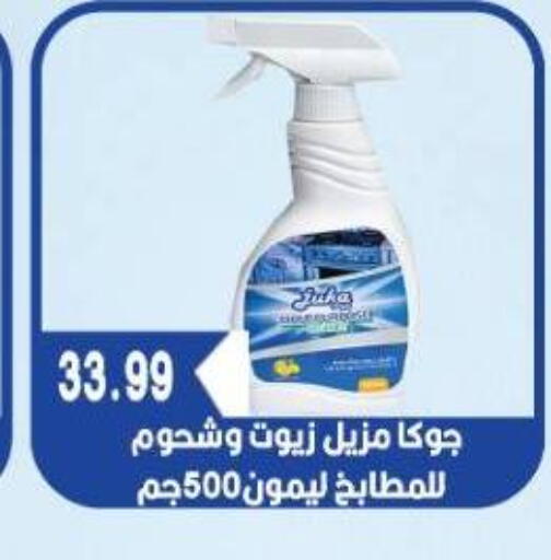 منظف عام available at يورومارشيه in Egypt - القاهرة
