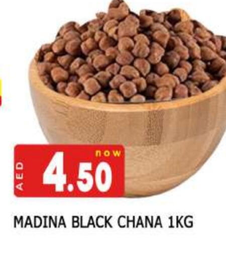 available at المدينة in الإمارات العربية المتحدة , الامارات - دبي