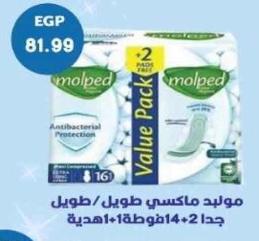 available at يورومارشيه in Egypt - القاهرة