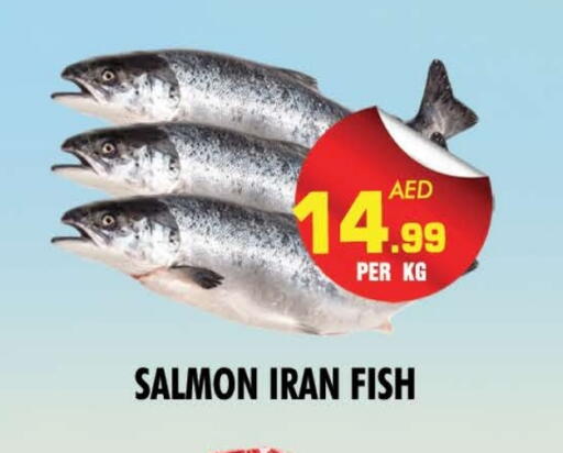 available at NIGHT TO NIGHT DEPARTMENT STORE in UAE - Dubai