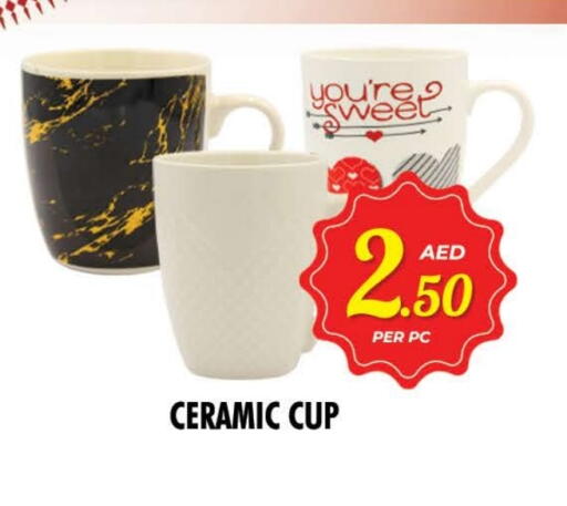 available at NIGHT TO NIGHT DEPARTMENT STORE in UAE - Dubai