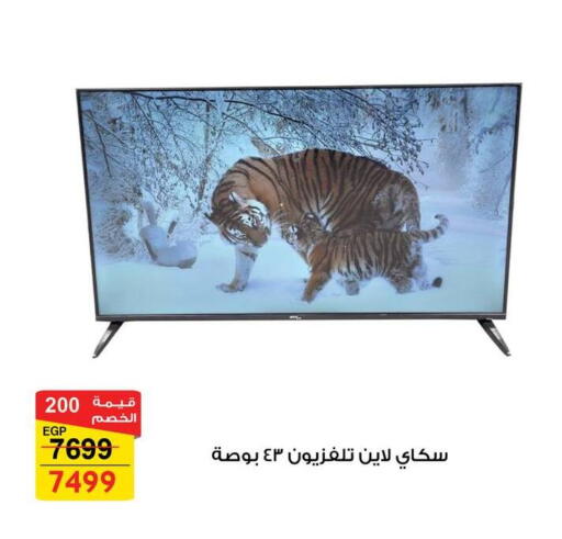 تلفاز ذكي available at فتح الله in Egypt - القاهرة