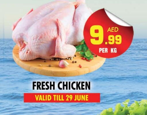 Fresh Whole Chicken available at NIGHT TO NIGHT DEPARTMENT STORE in UAE - Sharjah / Ajman