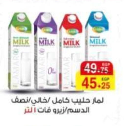 available at A Market in Egypt - Cairo