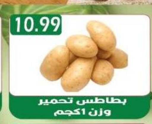 بطاطا available at يورومارشيه in Egypt - القاهرة
