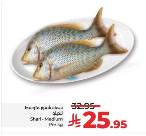 available at لولو هايبرماركت in مملكة العربية السعودية, السعودية, سعودية - جدة