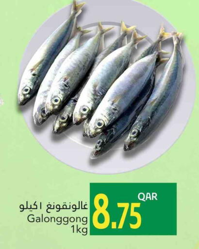 available at Gulf Food Center in Qatar - Al Rayyan