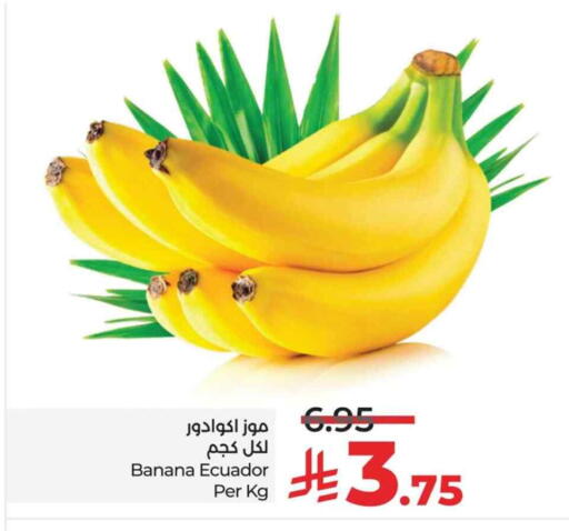 موز from Ecuador available at لولو هايبرماركت in مملكة العربية السعودية, السعودية, سعودية - الخبر‎