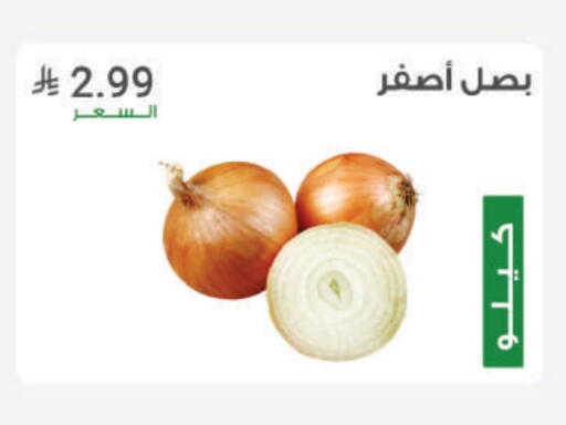 Onion available at Al Rasheed Markets in KSA, Saudi Arabia, Saudi - Riyadh