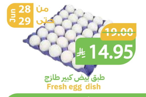 available at Qateba Markets in KSA, Saudi Arabia, Saudi - Buraidah