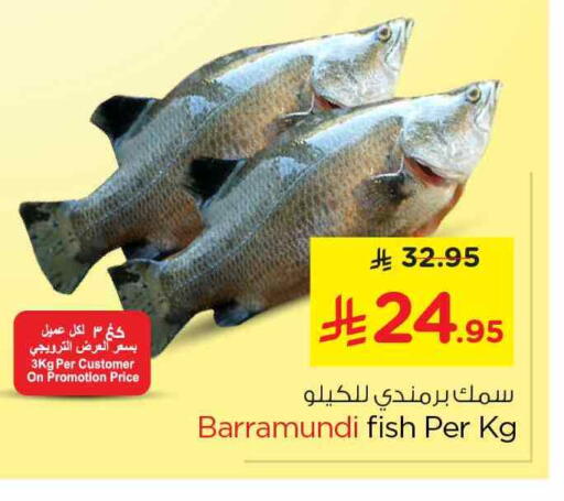 available at نستو in مملكة العربية السعودية, السعودية, سعودية - الخبر‎