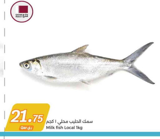 available at City Hypermarket in Qatar - Al Rayyan