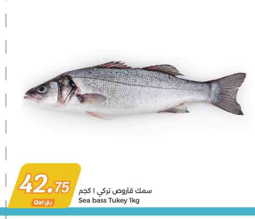 available at City Hypermarket in Qatar - Al Rayyan