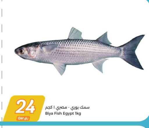 available at City Hypermarket in Qatar - Al Rayyan