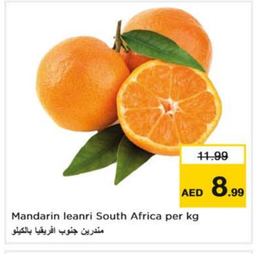 Orange from South Africa available at Nesto Hypermarket in UAE - Dubai