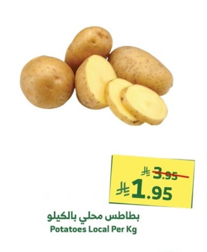 Potato available at Al Raya in KSA, Saudi Arabia, Saudi - Abha