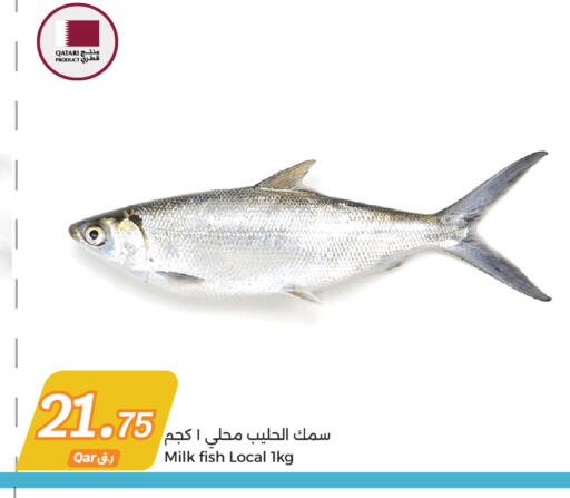 available at سيتي هايبرماركت in قطر - الريان