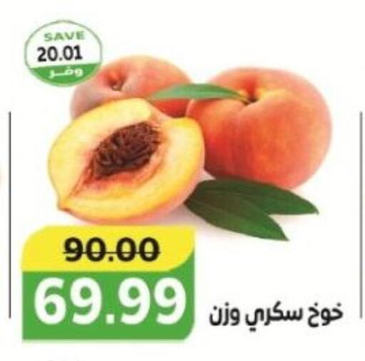 Plums available at The Mart  in Egypt - Cairo
