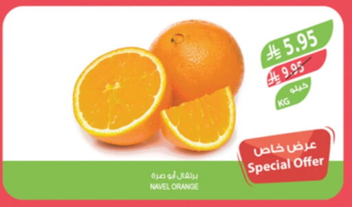 Orange available at Farm  in KSA, Saudi Arabia, Saudi - Khafji