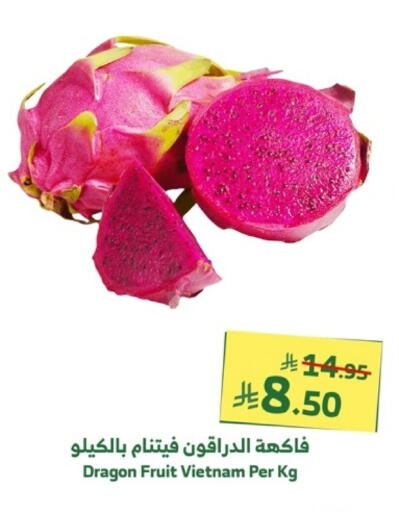 Dragon Fruit from Vietnam available at Al Raya in KSA, Saudi Arabia, Saudi - Mecca