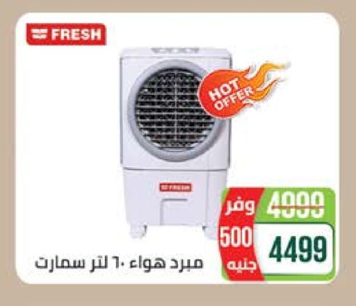 FRESH Air Cooler available at Seoudi Supermarket in Egypt - Cairo