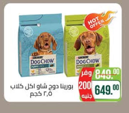 Pets in Seoudi Supermarket, Egypt Offers - Egypt available at Seoudi Supermarket in Egypt - Cairo