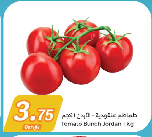 Tomato from Jordan available at City Hypermarket in Qatar - Al Rayyan