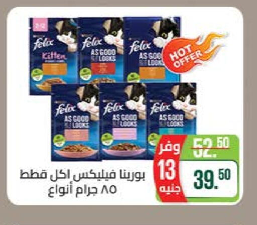 Pets in Seoudi Supermarket, Egypt Offers - Egypt available at Seoudi Supermarket in Egypt - Cairo