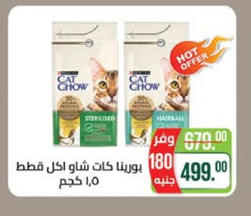 Pets in Seoudi Supermarket, Egypt Offers - Egypt available at Seoudi Supermarket in Egypt - Cairo