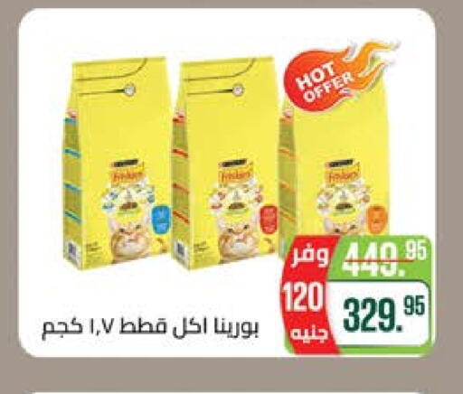 Pets in Seoudi Supermarket, Egypt Offers - Egypt available at Seoudi Supermarket in Egypt - Cairo