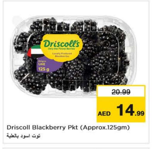 Berries available at Nesto Hypermarket in UAE - Dubai
