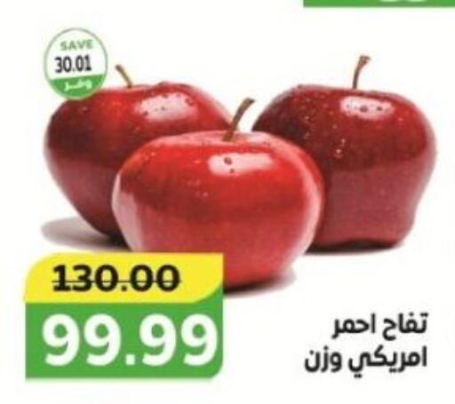 Apples available at The Mart  in Egypt - Cairo
