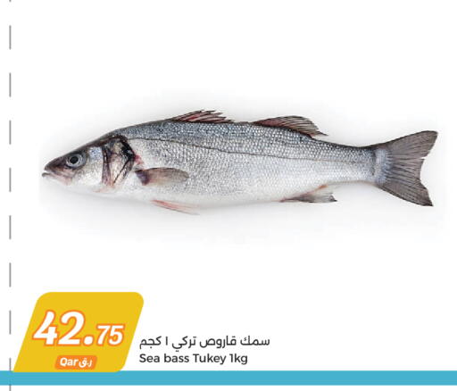 available at سيتي هايبرماركت in قطر - الريان