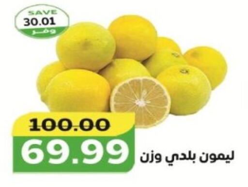lemon available at The Mart  in Egypt - Cairo