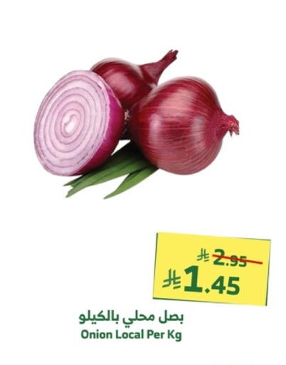 Onion available at Al Raya in KSA, Saudi Arabia, Saudi - Al Bahah