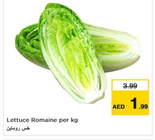 Lettuce available at Nesto Hypermarket in UAE - Abu Dhabi
