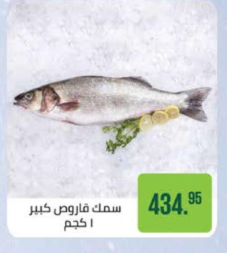 available at سعودي سوبرماركت in Egypt - القاهرة
