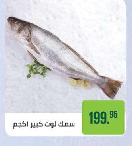 available at سعودي سوبرماركت in Egypt - القاهرة
