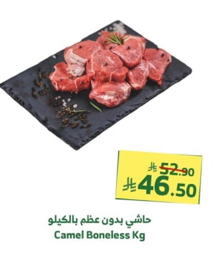 Camel meat available at Al Raya in KSA, Saudi Arabia, Saudi - Ta'if