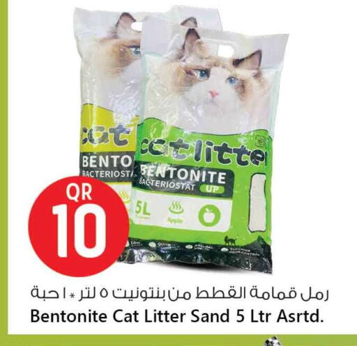 School & Stationary in Safari Hypermarket, Qatar Offers - Qatar Apple available at Safari Hypermarket in Qatar - Al Shamal