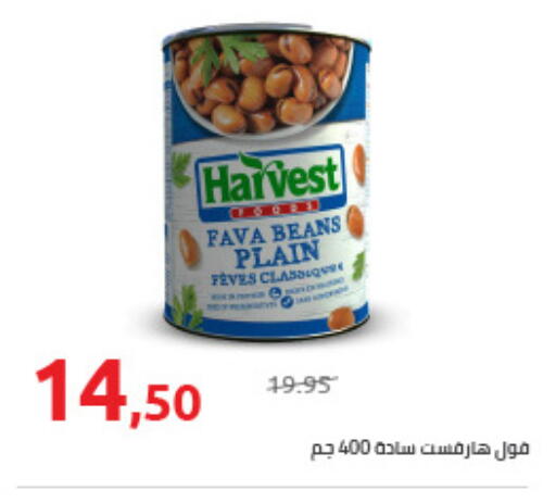 Fava Beans available at Hyper One  in Egypt - Cairo
