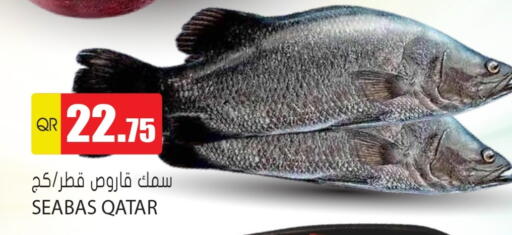 available at جراند هايبرماركت in قطر - الوكرة