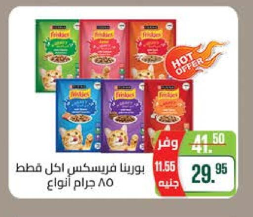Pets in Seoudi Supermarket, Egypt Offers - Egypt available at Seoudi Supermarket in Egypt - Cairo