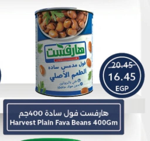Fava Beans available at Oscar Grand Stores  in Egypt - Cairo