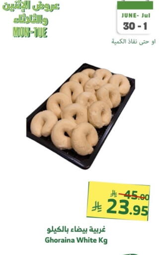 available at Al Raya in KSA, Saudi Arabia, Saudi - Tabuk