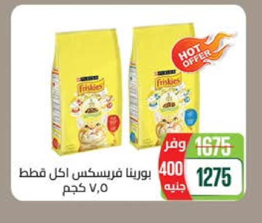 Pets in Seoudi Supermarket, Egypt Offers - Egypt available at Seoudi Supermarket in Egypt - Cairo