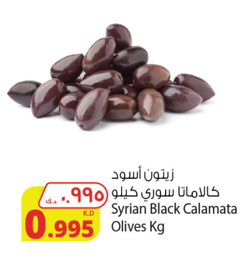 available at Agricultural Food Products Co. in Kuwait - Jahra Governorate