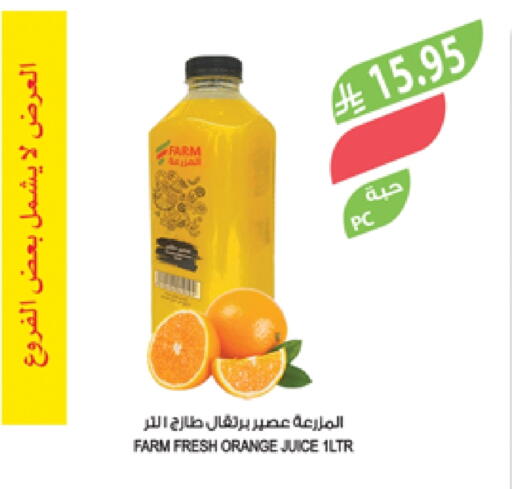 Orange available at Farm  in KSA, Saudi Arabia, Saudi - Saihat