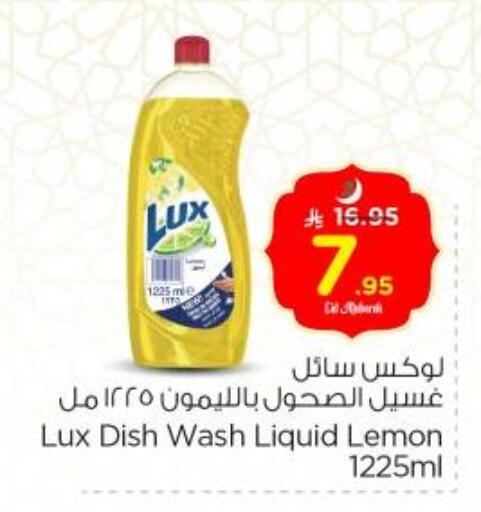 LUX available at Nesto in KSA, Saudi Arabia, Saudi - Al-Kharj